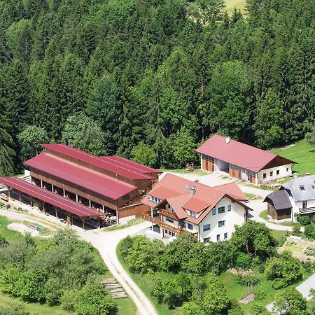 Ferienwohnungen Bauernhof Schilcher Sankt Stefan im Lavanttal Exterior photo