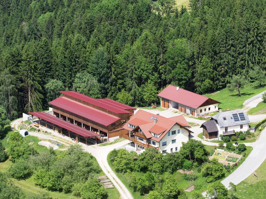 Ferienwohnungen Bauernhof Schilcher Sankt Stefan im Lavanttal Exterior photo