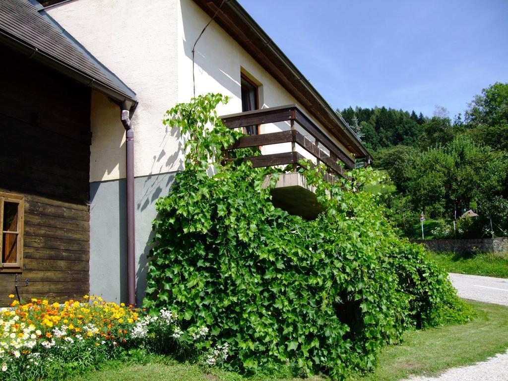 Ferienwohnungen Bauernhof Schilcher Sankt Stefan im Lavanttal Exterior photo