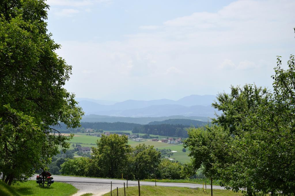 Ferienwohnungen Bauernhof Schilcher Sankt Stefan im Lavanttal Exterior photo